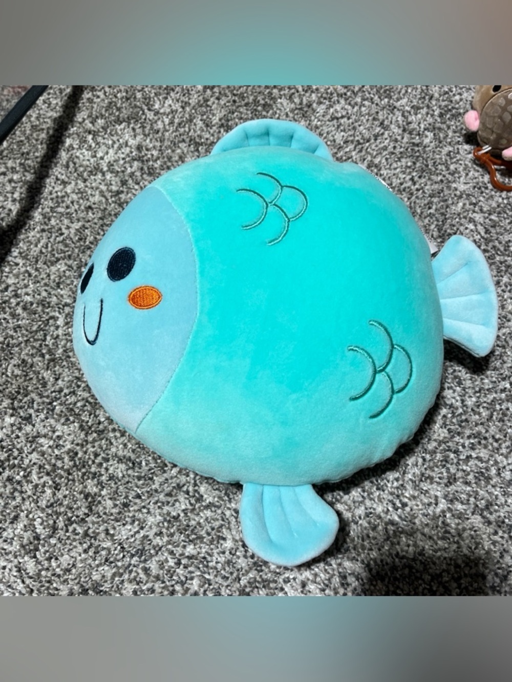 Microbead Fish Teal Green Brown Squishy Pillow Soft Stuffed Animal